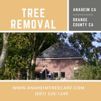Anaheim Tree Care image 5